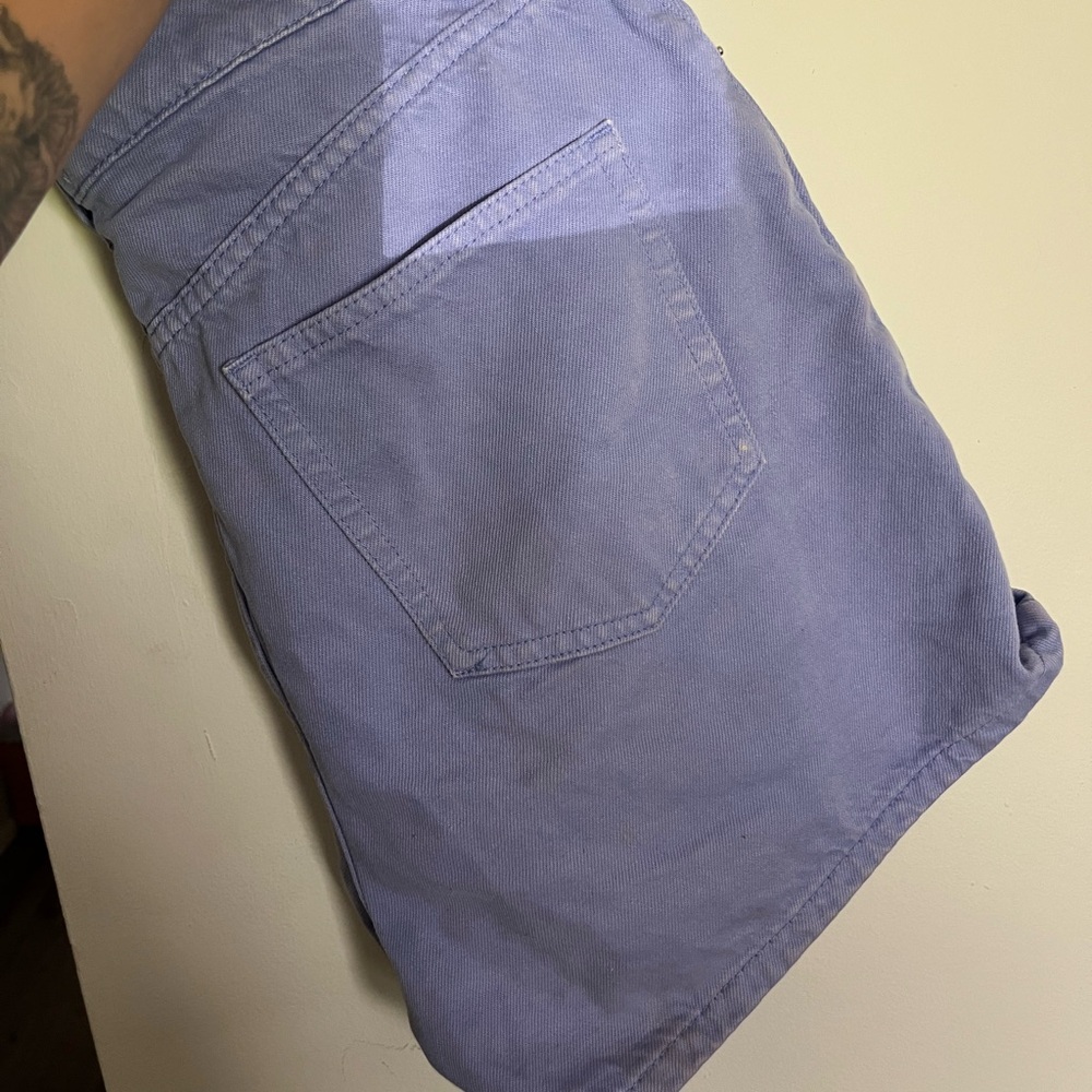 Zara Light Blue Flat Front Shorts